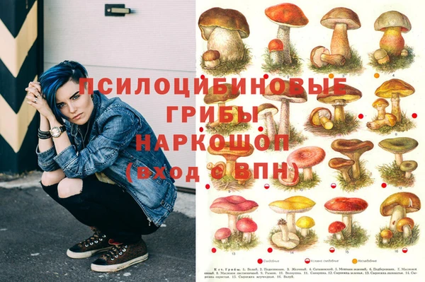 метадон Киреевск