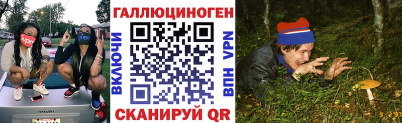 Купить закладки  Конаково  Псилоцибиновые грибы мицелий 