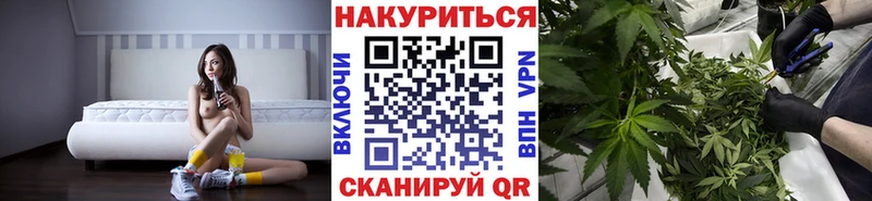 Каннабис семена Купить Конаково